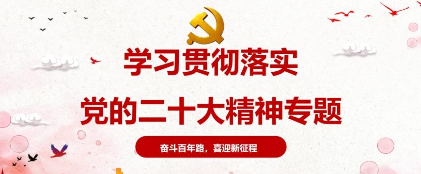 学习贯彻党的二十大精神专题