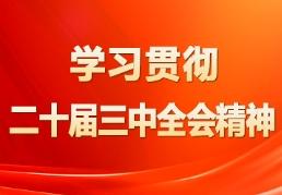 学习贯彻二十届三中全会精神